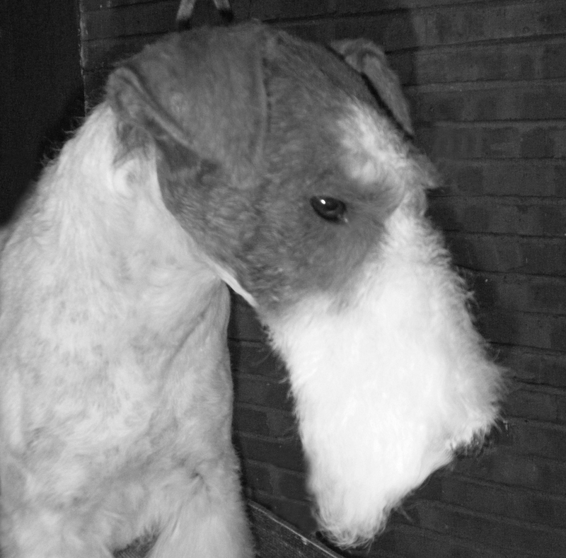 cacopoulos georgina main1